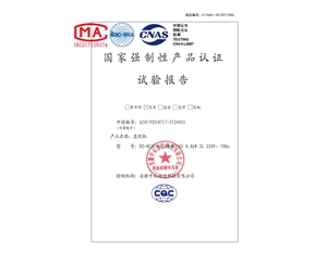 D2檢測報告